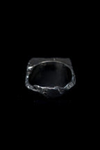 RAW SIGNET RING - ANYOTHERKINGDOM