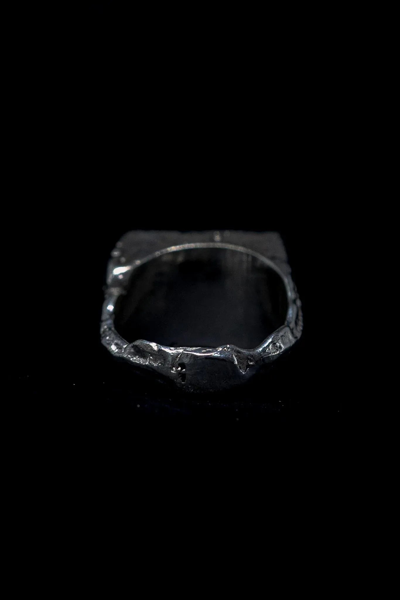 RAW SIGNET RING - ANYOTHERKINGDOM