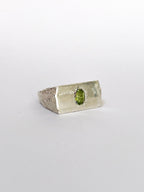 PERCEPTION SIGNET RING - ANYOTHERKINGDOM